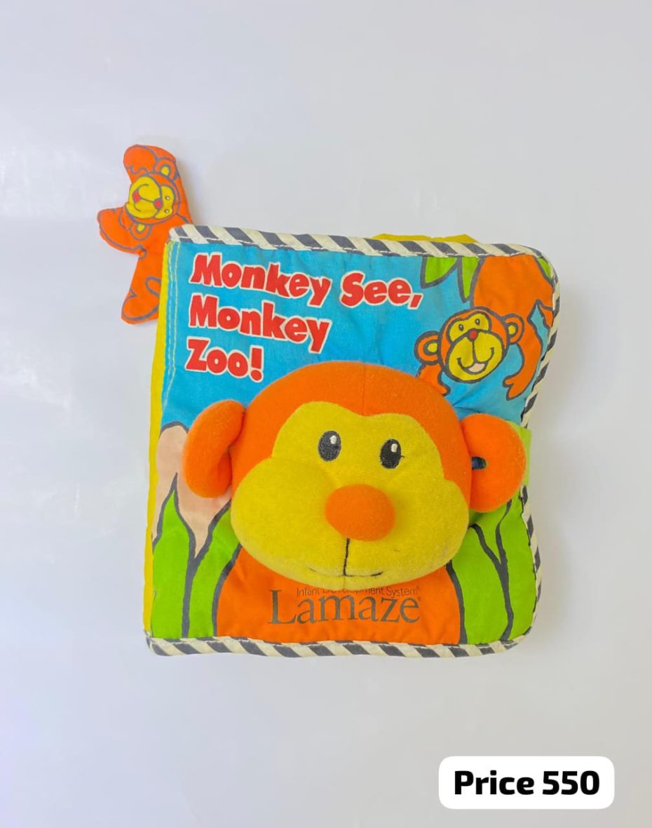 Monkey See, Monkey Zoo!